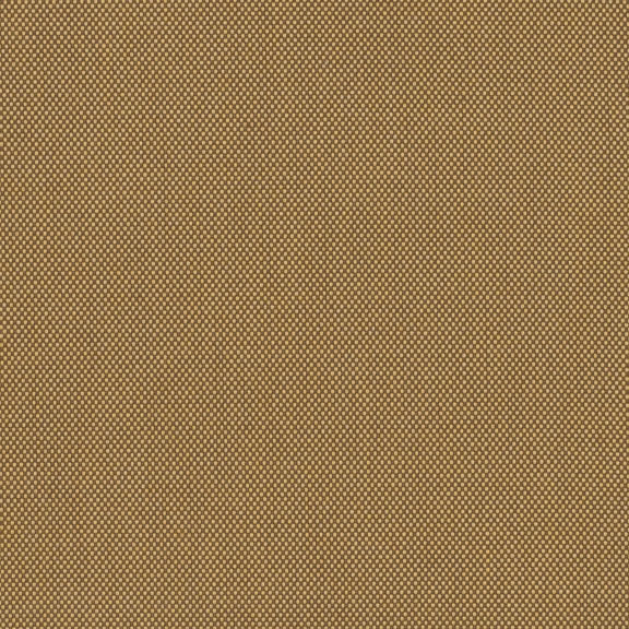 32019