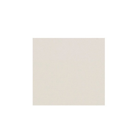 NSSAMPLE Natte White Fabric Sample on white background 