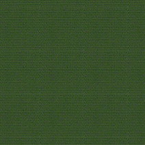 Canvas Palm
