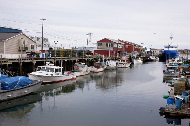 An image of lobster boats docked at the Custom House Wharf in Portland, Maine.