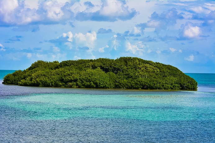 An image of the mangrove islands around Islamorada, Florida.