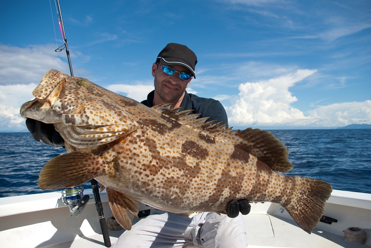  An image of a fisherman on a boat holding a Grouper fish with ocean and blue skies background