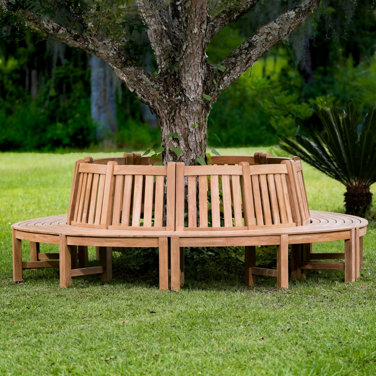 Buckingham Teak Tree Hugger Bench Surrounds Tree Westminster Teak