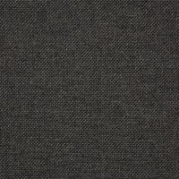 Essential Coal fabric color