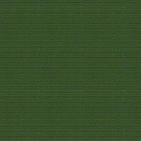 Canvas Palm fabric color