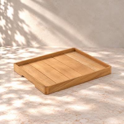 Odyssey Tray