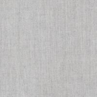Meridian Silver fabric color