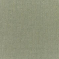 Canvas Stone Green fabric color