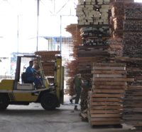 Kiln Dried Teak Wood